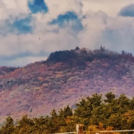 Villa Gut Hohenunkel *