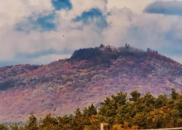 Villa Gut Hohenunkel *